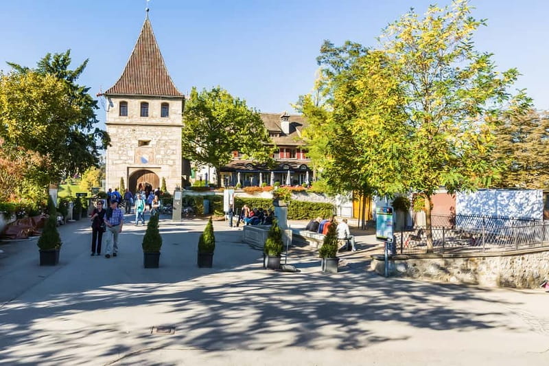 From Zurich: Rhine Falls Coach Tour with Entry Tickets - Arriving at Rhine Falls from Laufen Castle