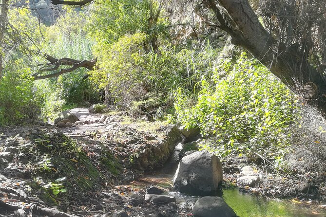 Full day Hiking and Waterfalls Experience - Key points to know before you book