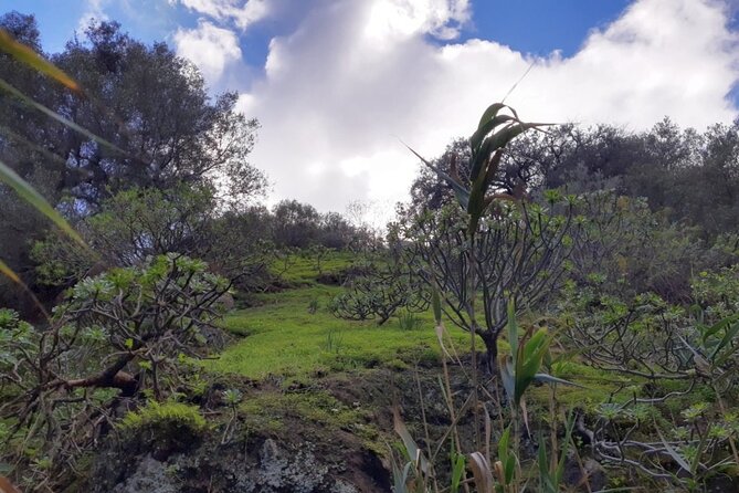 Full day Hiking and Waterfalls Experience - The wetter side of Gran Canaria