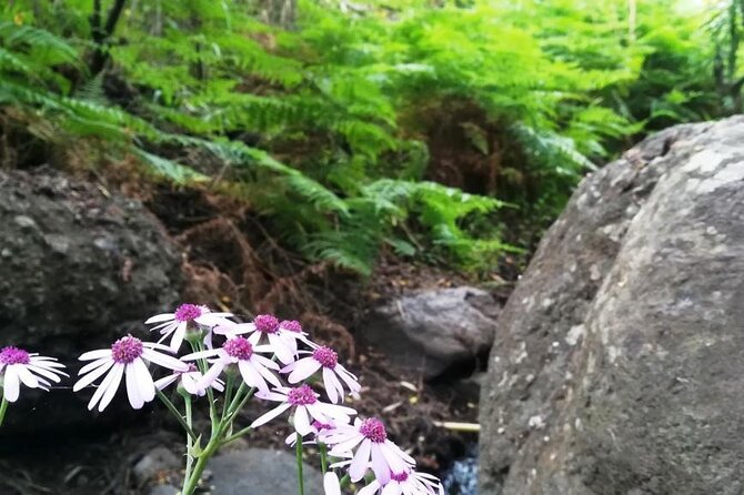 Full day Hiking and Waterfalls Experience - Seasonal weather from October through March