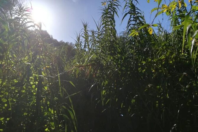 Full day Hiking and Waterfalls Experience - A 9:00 a.m. start and a full day outdoors