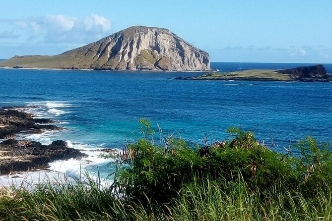 Full Day Oahu Tour with Byodo Temple & Waimea Waterfalls - Dole Plantation ends the sightseeing circuit