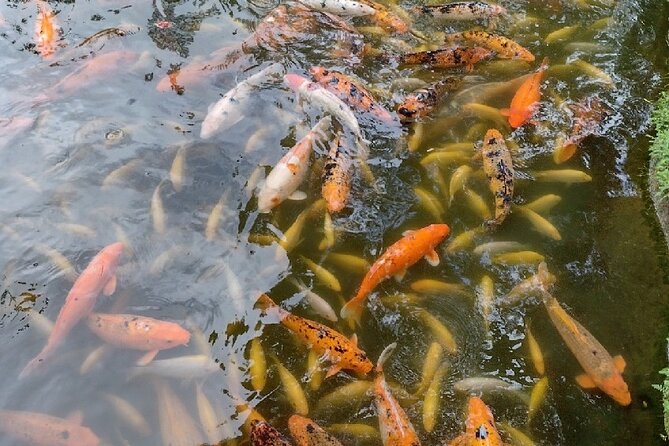 Full Day Oahu Tour with Byodo Temple & Waimea Waterfalls - Guides make the difference