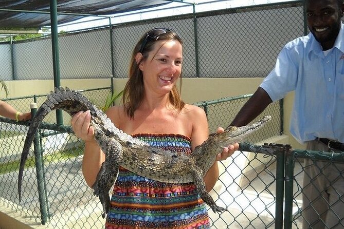 Full-Day South Coast - YS Falls, Pelican Bar & Black River Safari - Black River Safari through mangroves