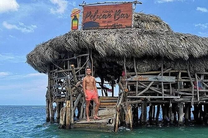 Full-Day South Coast - YS Falls, Pelican Bar & Black River Safari - The private ride from Negril