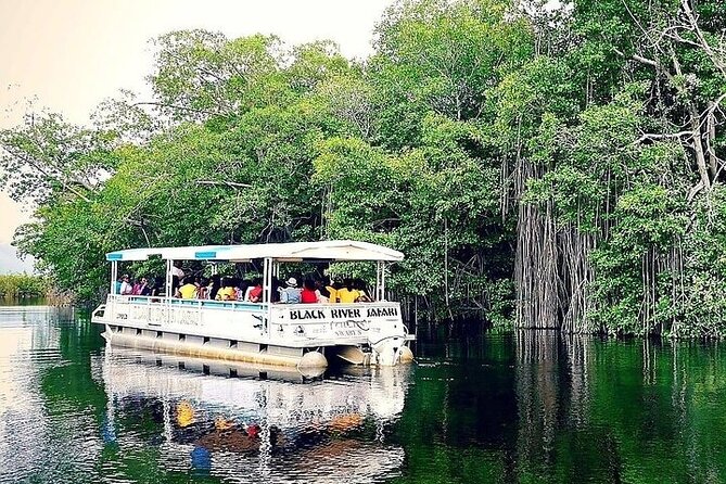 Full-Day South Coast - YS Falls, Pelican Bar & Black River Safari - YS Falls and its seven levels of fresh water
