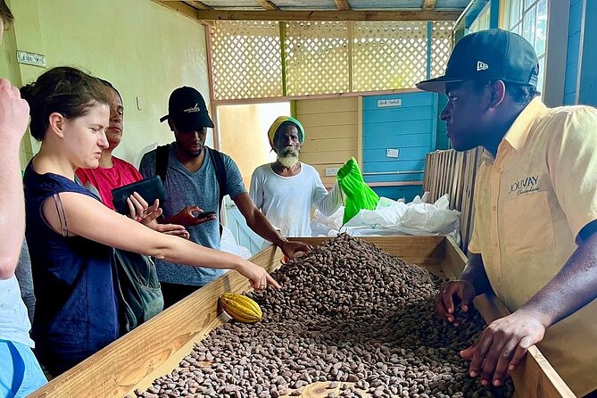 Full-Day Tour: Concord Waterfall, Chocolate Factory, Rum Distillery, Grand Etang - River Antoine Estate: the day’s most unusual stop