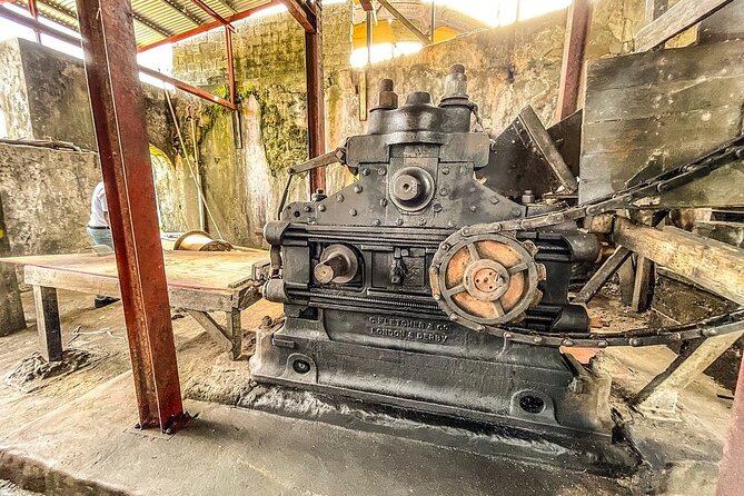 Full-Day Tour: Concord Waterfall, Chocolate Factory, Rum Distillery, Grand Etang - Is $115 a good value?