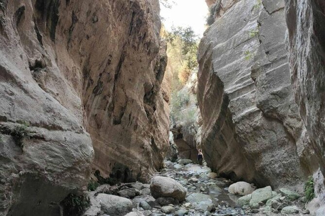 Full Day Tour in Akamas Adonis Waterfalls and Blue Lagoon - Why this Akamas jeep tour covers so much ground