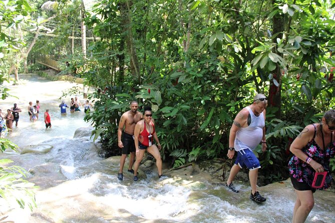 Full-Day Tour of Blue Hole and Dunn's River Falls, Including Fees - Should you book Blue Hole and Dunn’s River Falls?