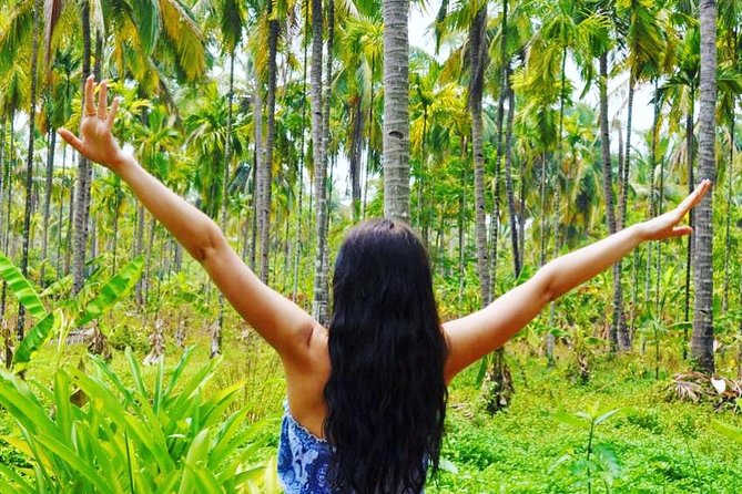 Full-Day Tour Old Goa Dudhsagar Falls and Spice Plantation - Guide quality and language need attention