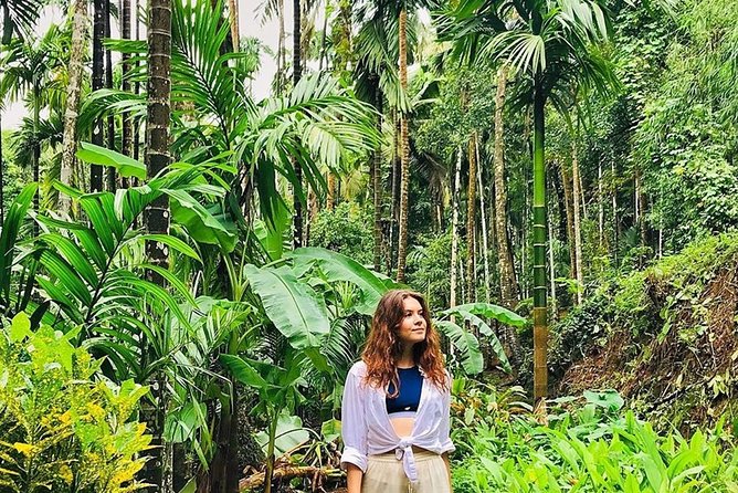 Full-Day Tour Old Goa Dudhsagar Falls and Spice Plantation - Should you book this Dudhsagar day trip?