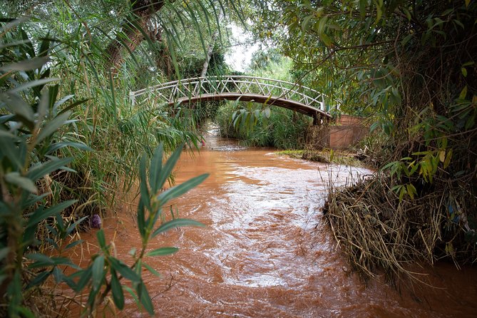 Full Day Trip To Ouzoud Waterfalls From Marrakech & Boat Tour - The hand-powered boat ride near the falls