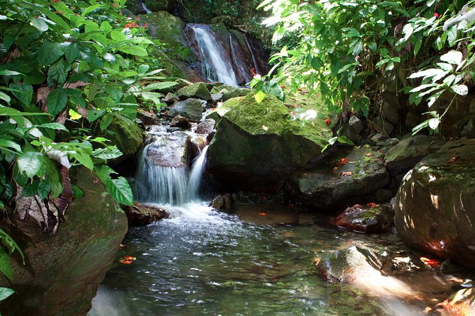 Full-Day Zipline and Waterfall Rappelling Adventure Near San Juan - Grandma’s house and the meal that completes the day