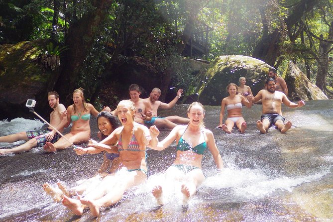 Fun, Falls and Forests Day Trip from Cairns - Millaa Millaa Falls gives the day its classic picture