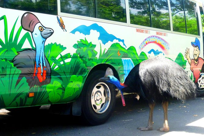 Fun, Falls and Forests Day Trip from Cairns - The guide makes or breaks a 12-hour day