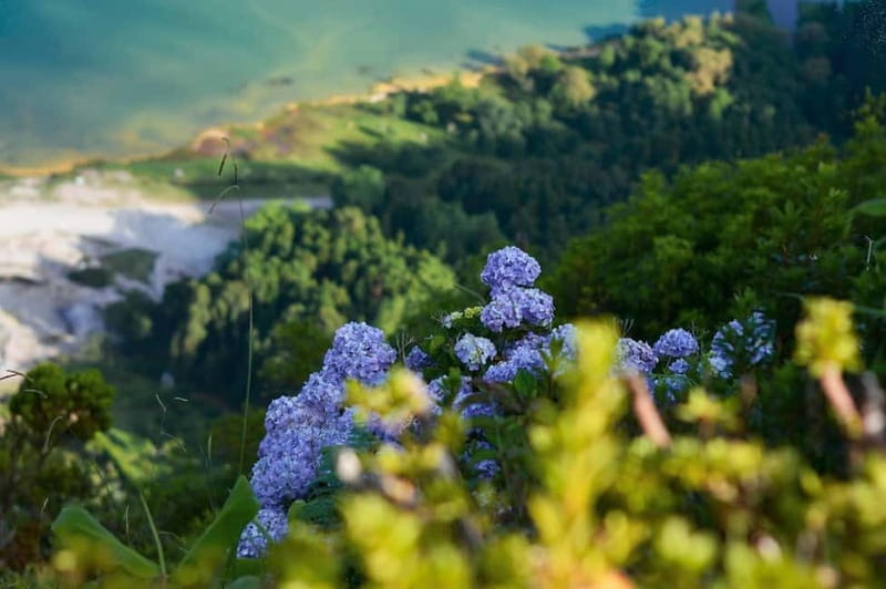 Furnas Volcano: Full Day Tour, Hot Springs & Waterfalls - Ribeira dos Caldeirões and Véu da Noiva waterfall