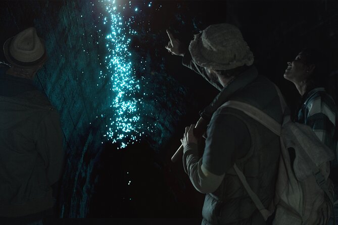 Glow-worms, Waterfalls & Rainforest Experience - Key points to know before booking