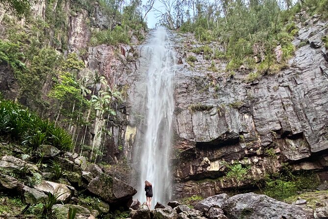 Glow-worms, Waterfalls & Rainforest Experience - Waterfalls, a lookout, and a cold swim