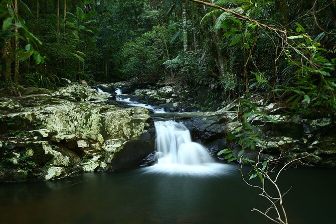 Glow-worms, Waterfalls & Rainforest Experience - What the six-hour format means for value