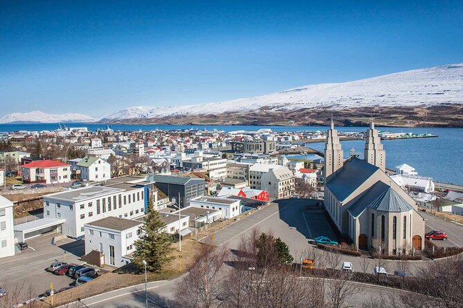 Goðafoss Waterfall from Akureyri Port - Who should book this Goðafoss tour?