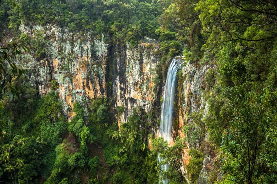 Gold Coast: Natural Bridge & Springbrook Waterfalls Tour - Key points to know before you book