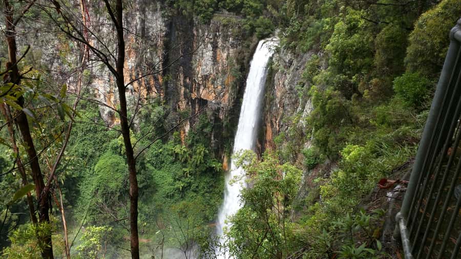 Gold Coast: Natural Bridge & Springbrook Waterfalls Tour - Why Springbrook makes a fine break from the Gold Coast