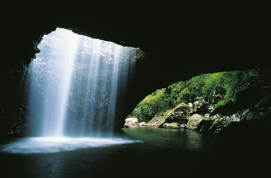 Gold Coast: Natural Bridge & Springbrook Waterfalls Tour - Natural Bridge, where the waterfall enters the cave