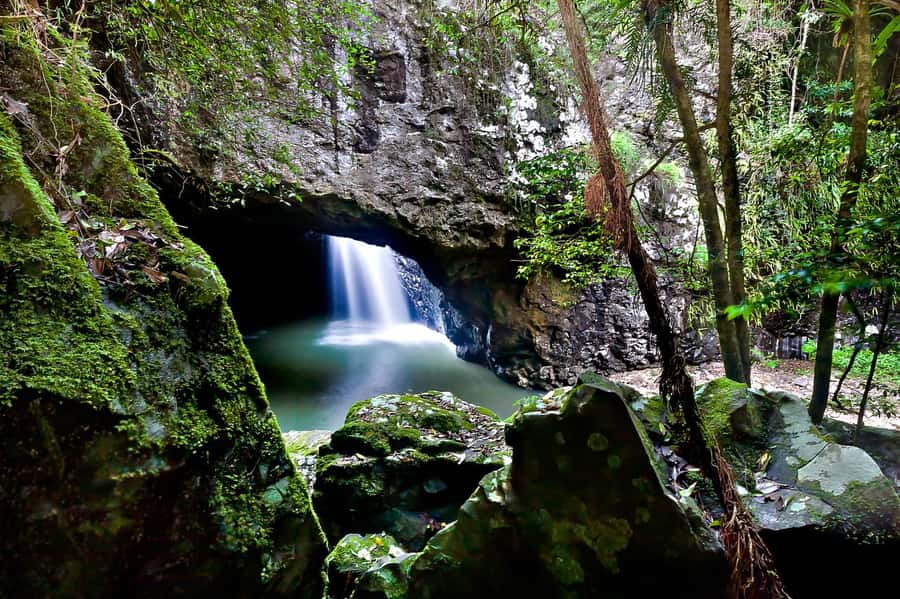 Gold Coast: Natural Bridge & Springbrook Waterfalls Tour - Best of All Lookout and the Antarctic Beech forest