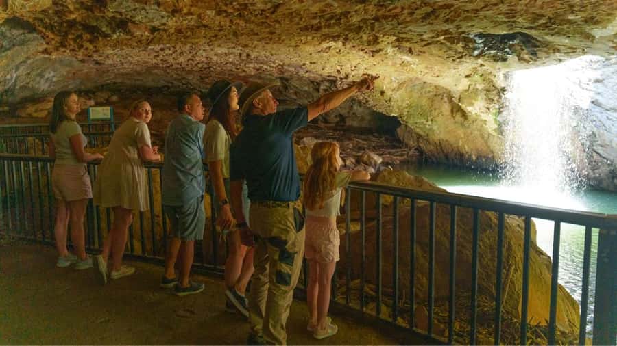 Gold Coast: Natural Bridge & Springbrook Waterfalls Tour - Guides who bring the forest to life