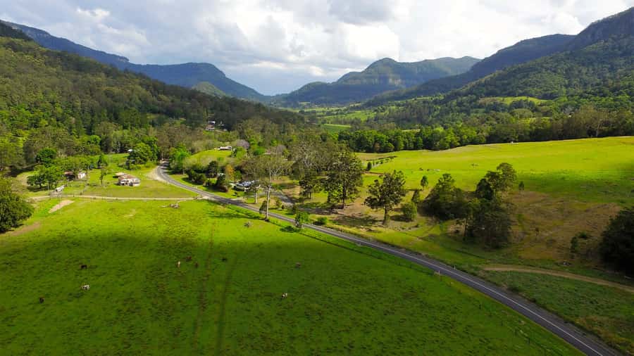 Gold Coast: Natural Bridge & Springbrook Waterfalls Tour - What the $84 price includes