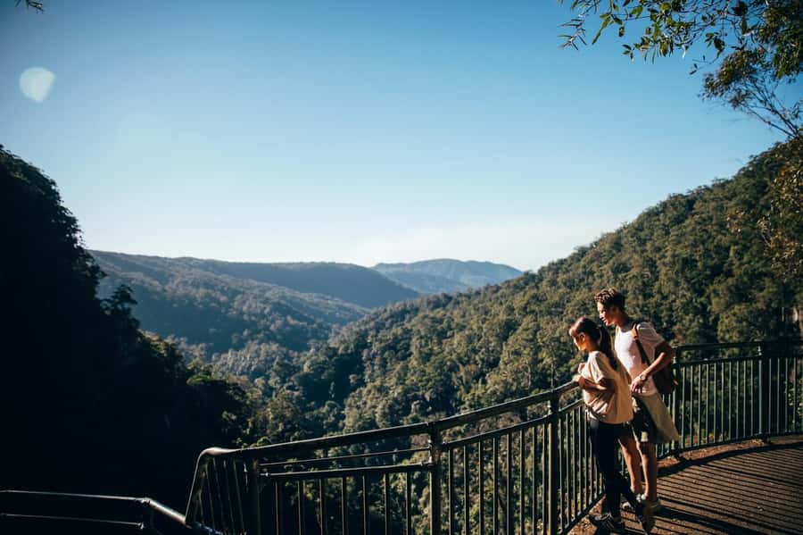 Gold Coast: Natural Bridge & Springbrook Waterfalls Tour - The drive through Numinbah Valley