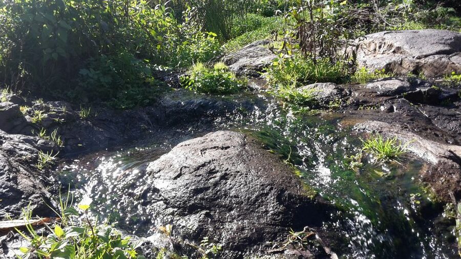Gran Canaria: "Magic Waterfalls" Hiking Tour - Key points at a glance