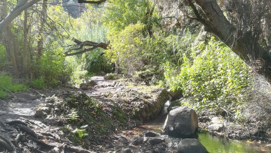 Gran Canaria: "Magic Waterfalls" Hiking Tour - Why these waterfalls show Gran Canaria in a different light