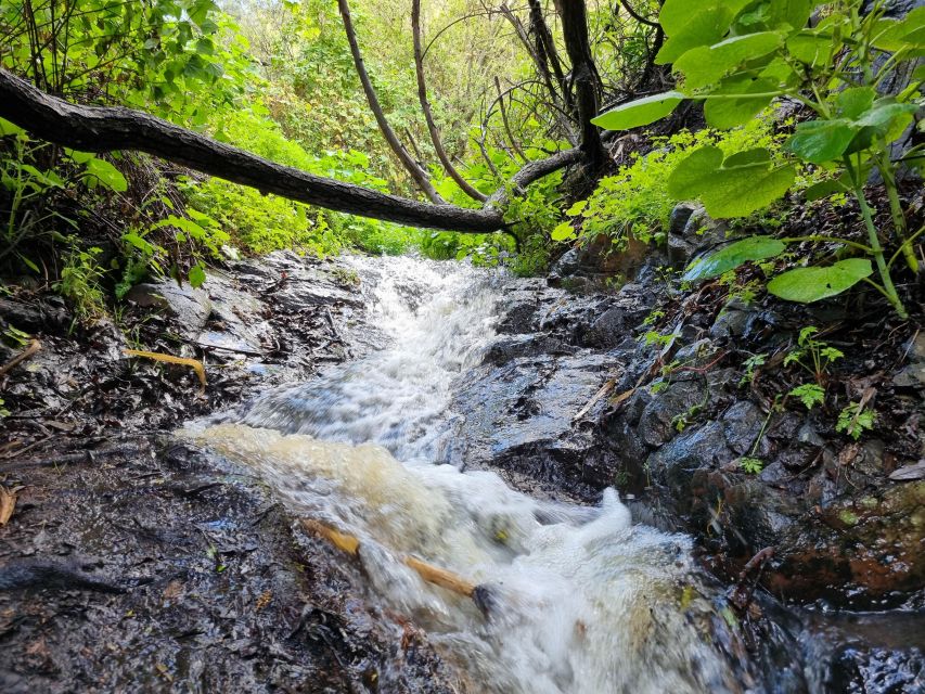 Gran Canaria: "Magic Waterfalls" Hiking Tour - How the price compares with the work involved