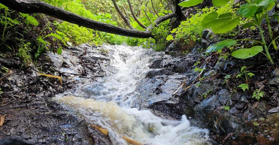 Gran Canaria: "Magic Waterfalls" Hiking Tour - A four-hour walk with modest numbers
