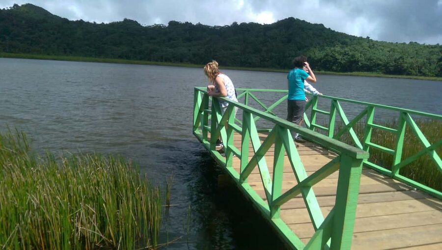 Grenada: Half-Day Island Tour with Waterfall Swim Stop - Annandale Falls, swimming, and tropical gardens