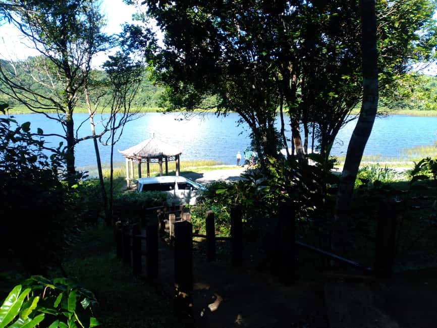 Grenada: Half-Day Island Tour with Waterfall Swim Stop - Grenada Distillers and the Clarke’s Court tasting