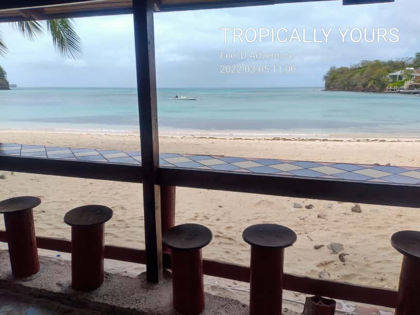 Grenada: Half-Day Island Tour with Waterfall Swim Stop - Fort Frederick and St. George’s from above
