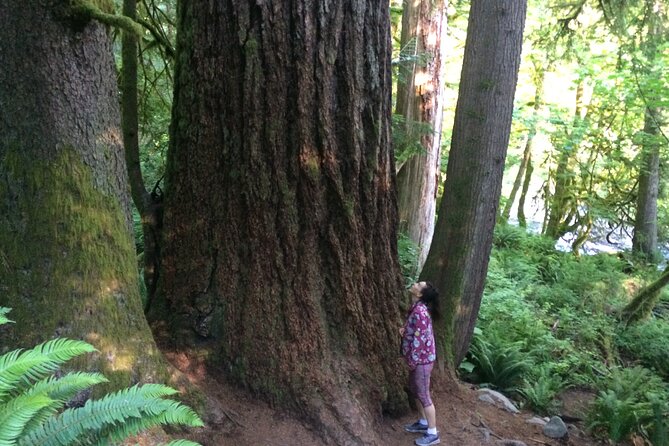 Guided forest hike to Seattle waterfalls incl. Snoqualmie Falls - Twin Falls and Upper Falls: the morning’s main walk