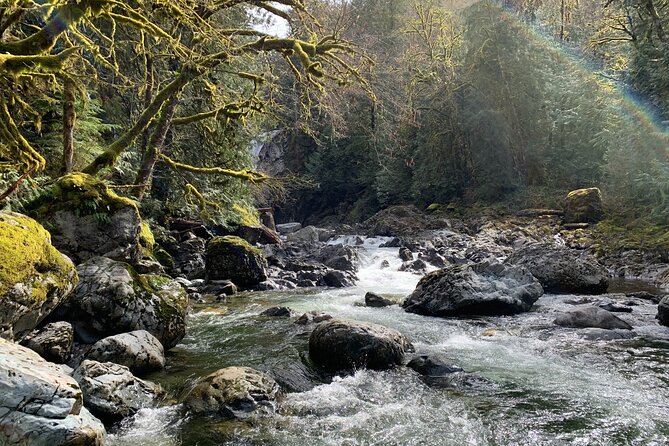 Guided forest hike to Seattle waterfalls incl. Snoqualmie Falls - North Bend, Snoqualmie, and the Twin Peaks connection