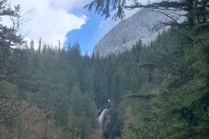 Guided forest hike to Seattle waterfalls incl. Snoqualmie Falls - Who should book this half-day trip