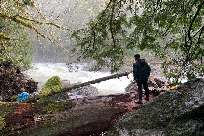 Guided forest hike to Seattle waterfalls incl. Snoqualmie Falls - Snoqualmie Falls delivers the dramatic view