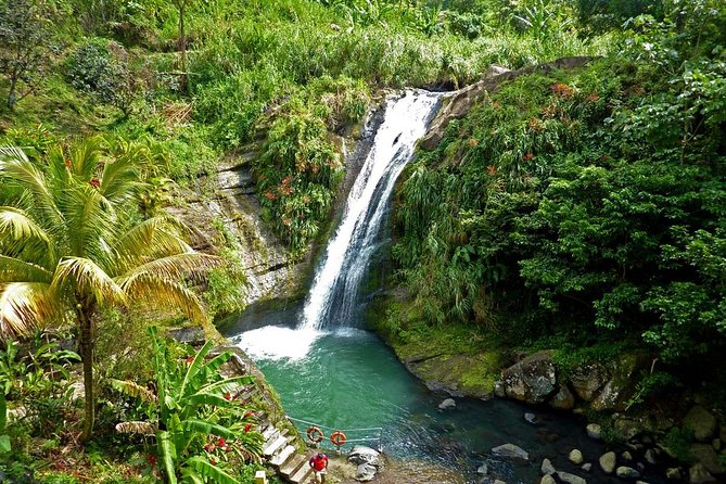 Half-Day Concord Waterfall and Chocolate Factory Tour - A broad first look at Grenada in 5.5 hours