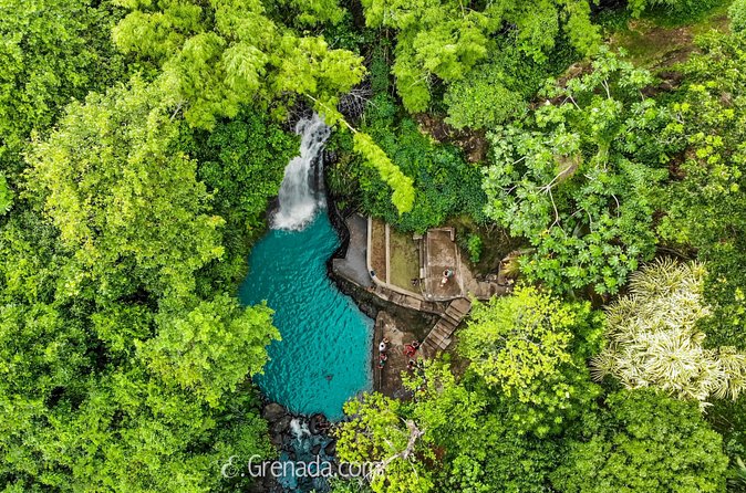 Half-Day Grenada River Tubing -Grand Etang & Annandale Falls - Is the $110 Price Fair?