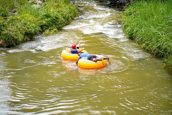 Half-Day Grenada River Tubing -Grand Etang & Annandale Falls - Who Will Enjoy This Grenada Tour Most?
