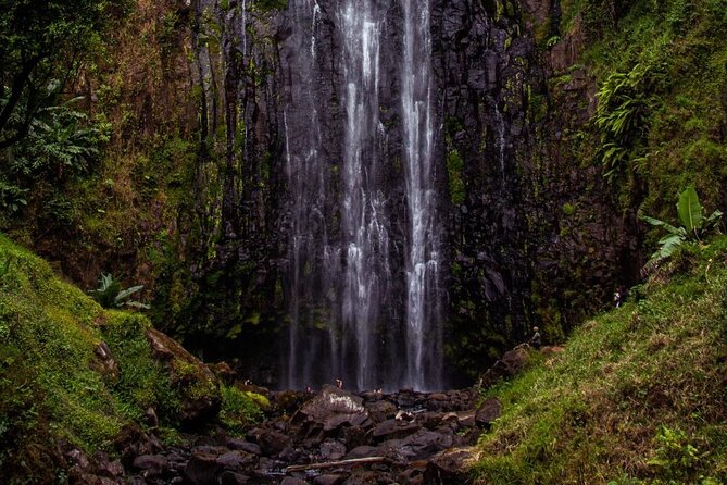 Half-Day Private Tour to Materuni Waterfalls and Coffee excursion - Who will get the most from this tour