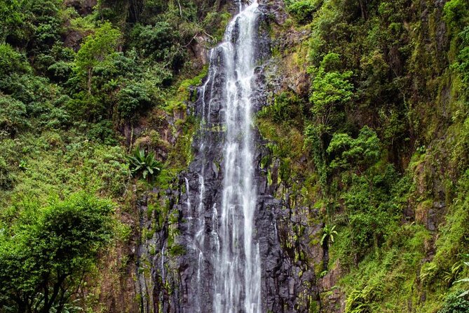 Half-Day Private Tour to Materuni Waterfalls and Coffee excursion - Is $68 per person a fair price?
