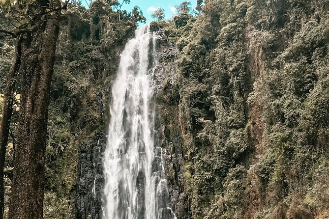 Half-Day Private Tour to Materuni Waterfalls and Coffee excursion - Practical preparation for the waterfall and coffee visit