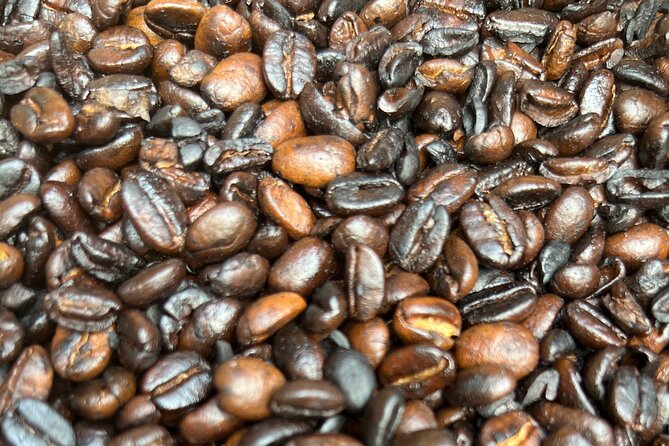 Half-Day Private Tour to Materuni Waterfalls and Coffee excursion - Walking through Materuni village and Chagga farm country